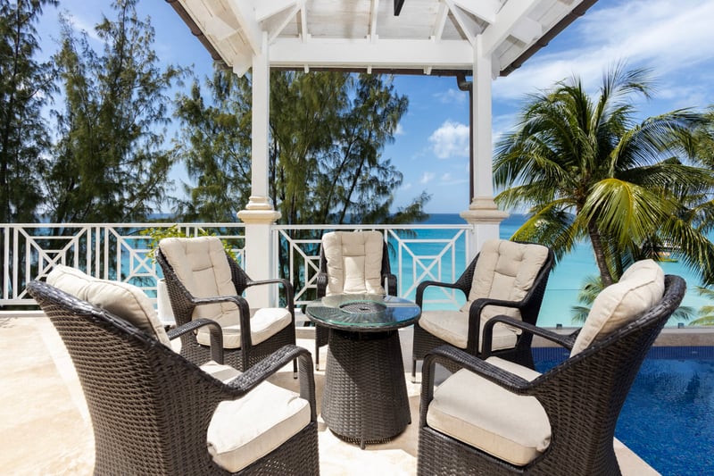 Old Trees 302 | La Mirage