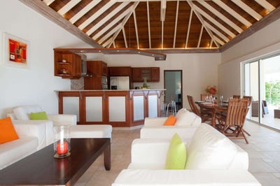 Luxury Villa Photo #18