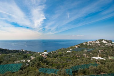 Luxury Villa Photo #2