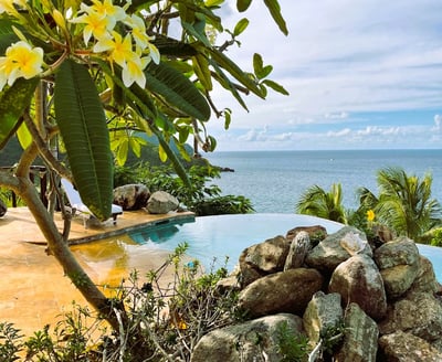 Luxury Villa Photo #3