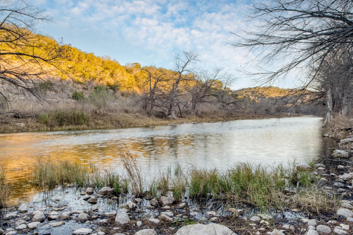 Desert Bloom Bungalow