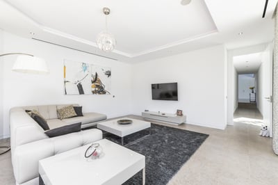 Luxury Villa Photo #19