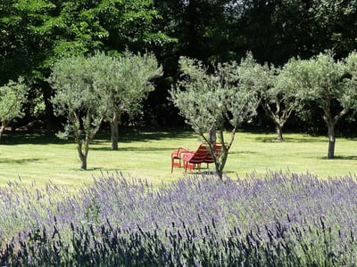 Luxury Villa Photo #8