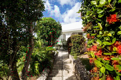 Luxury Villa Photo #39