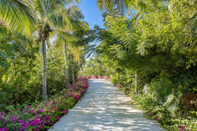 Luxury Villa Photo #26