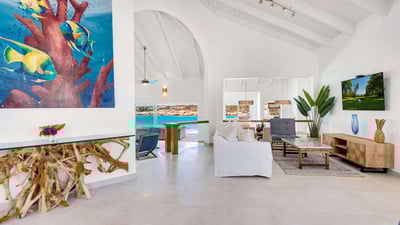 Luxury Villa Photo #19