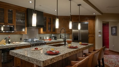 Gourmet renovated kitchen