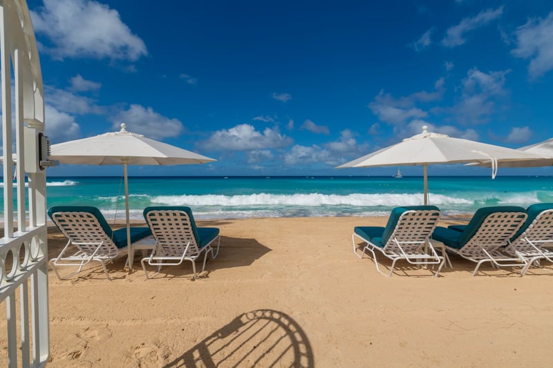 Sea Breeze at Old Trees