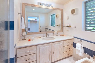 Luxury Villa Photo #16