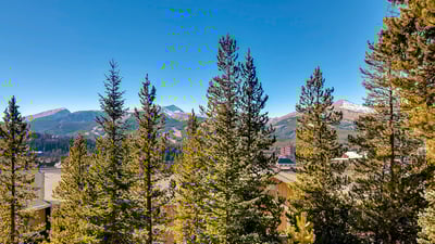Mountain Bear Lodge Views
