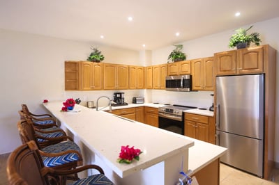 Luxury Villa Photo #4