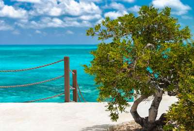 Luxury Villa Photo #11