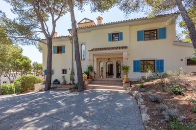 Luxury Villa Photo #36