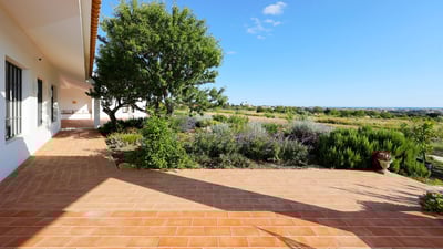 Luxury Villa Photo #5