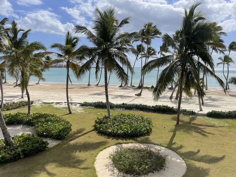 Juanillo 26/27 | Guacamaya