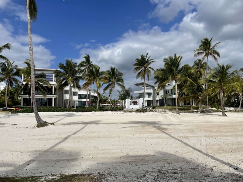 Juanillo 26/27 | Guacamaya