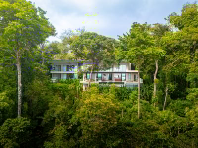 Luxury Villa Photo #49