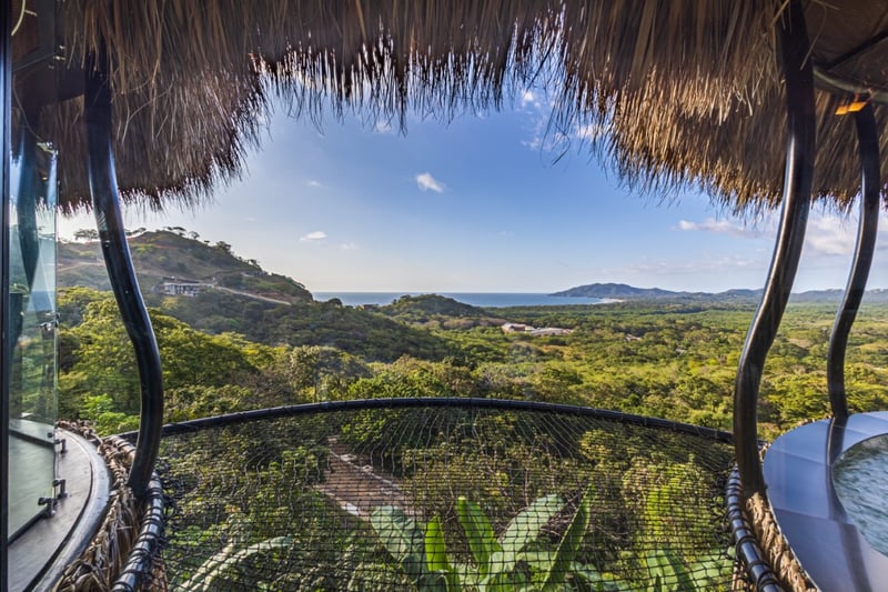 Cocoon Luxury Estate