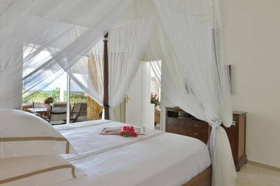Luxury Villa Photo #20