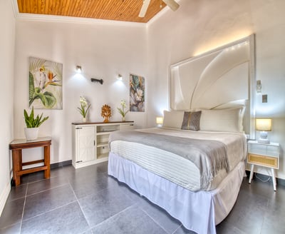 Luxury Villa Photo #33