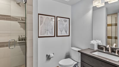 Downstairs bathroom