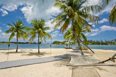 Luxury Villa Photo #24
