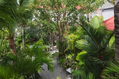 Luxury Villa Photo #25