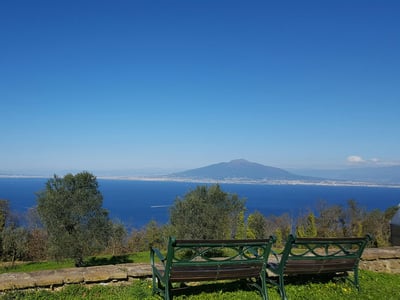 Luxury Villa Photo #6