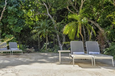 Tortuga B55 – Lush Tropical Garden