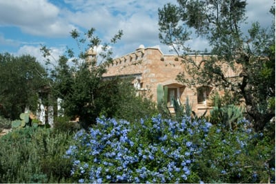 Luxury Villa Photo #22