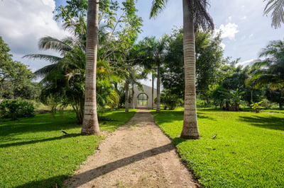 Luxury Villa Photo #16