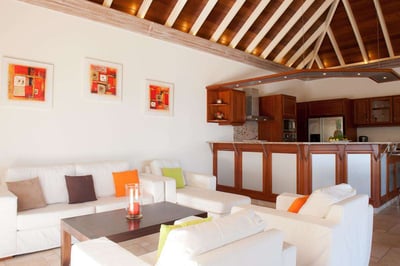 Luxury Villa Photo #19
