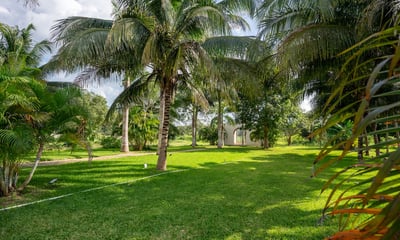 Luxury Villa Photo #15