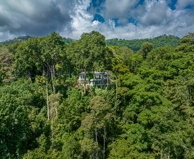 Luxury Villa Photo #61