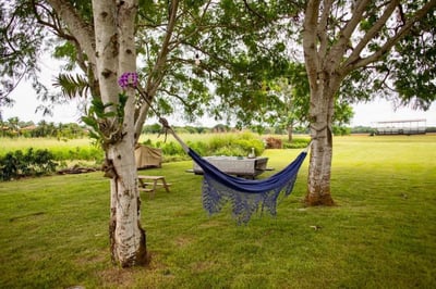 Luxury Villa Photo #8