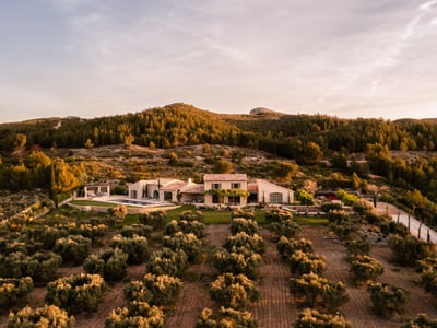 Luxury Villa Photo #46