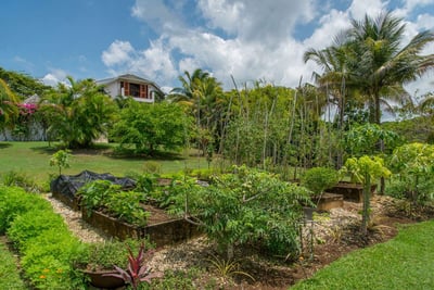Luxury Villa Photo #10