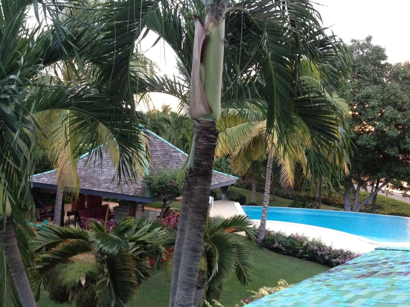 Punta Minitas 37 | Casa Celeste