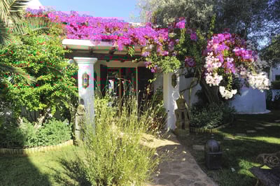 Luxury Villa Photo #6