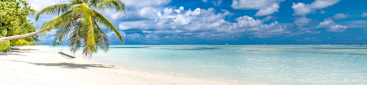Best Beaches - Collection