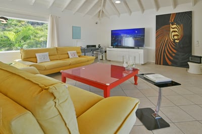 Luxury Villa Photo #22