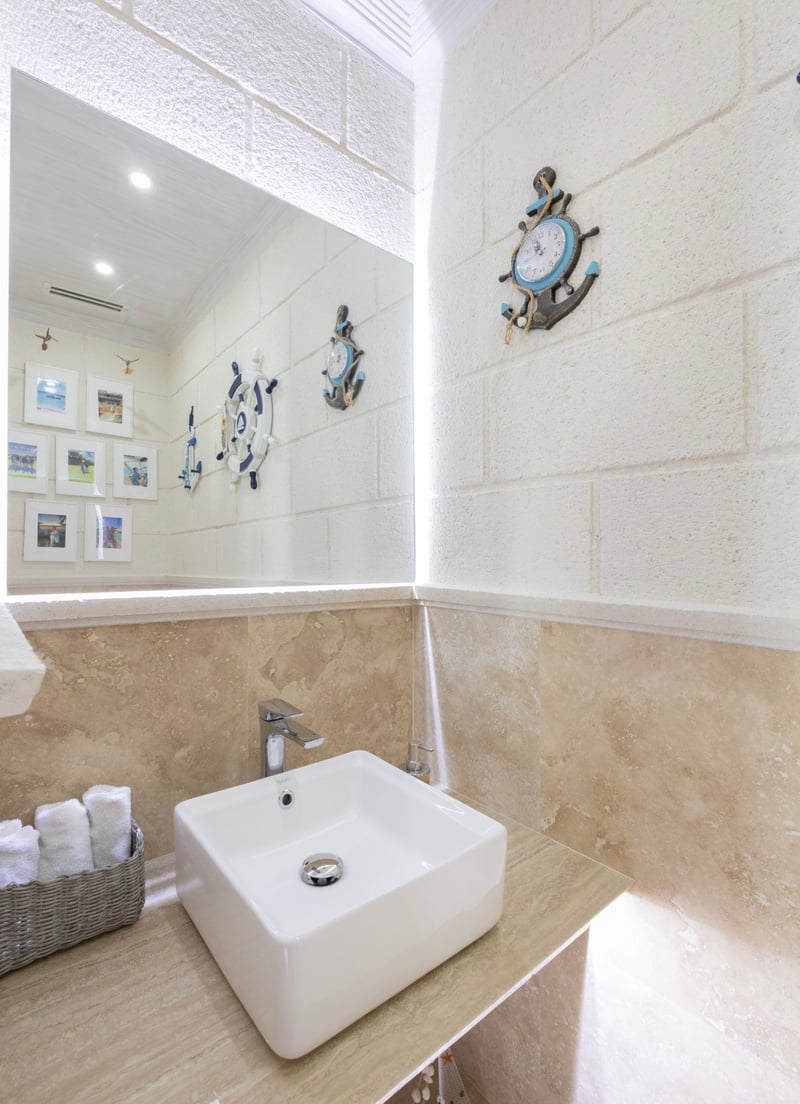 Old Trees 302 | La Mirage