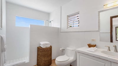 Luxury Villa Photo #41