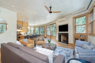 Town of Telluride,The Tributary