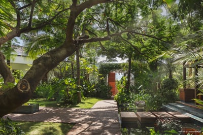 Luxury Villa Photo #4