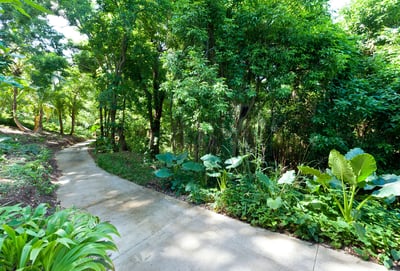 Luxury Villa Photo #6