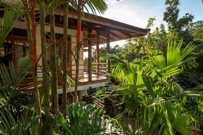 Luxury Villa Photo #56