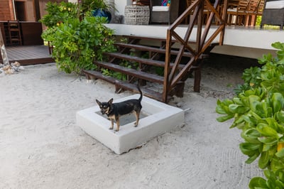 Luxury Villa Photo #3