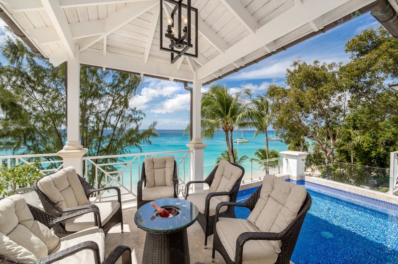 Old Trees 302 | La Mirage