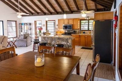 Luxury Villa Photo #7